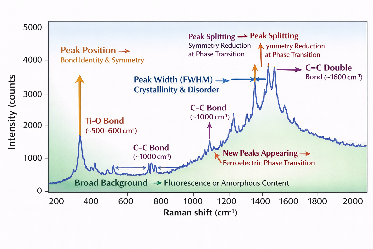 Annotated Raman spectrum showing peak position wavenumber cm inverse Raman shift peak width FWHM crystallinity disorder mode softening peak splitting phase transition ferroelectric BaTiO3 new modes appearing materials science