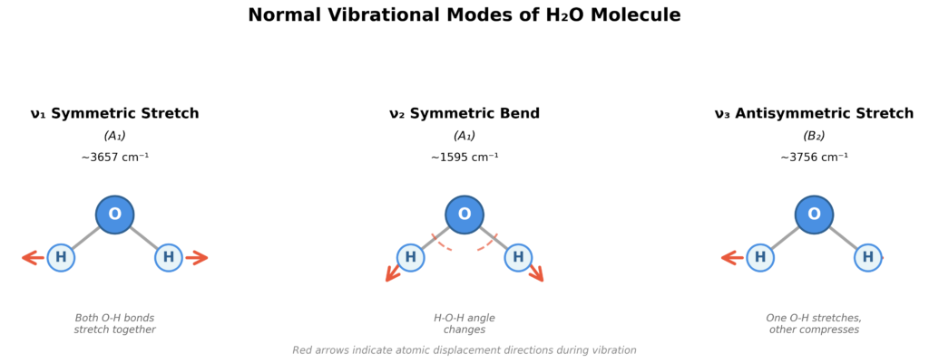 Diagram showing three normal vibrational modes of water molecule H2O including symmetric O-H stretch, symmetric H-O-H bend, and antisymmetric O-H stretch with displacement arrows for Raman spectroscopy