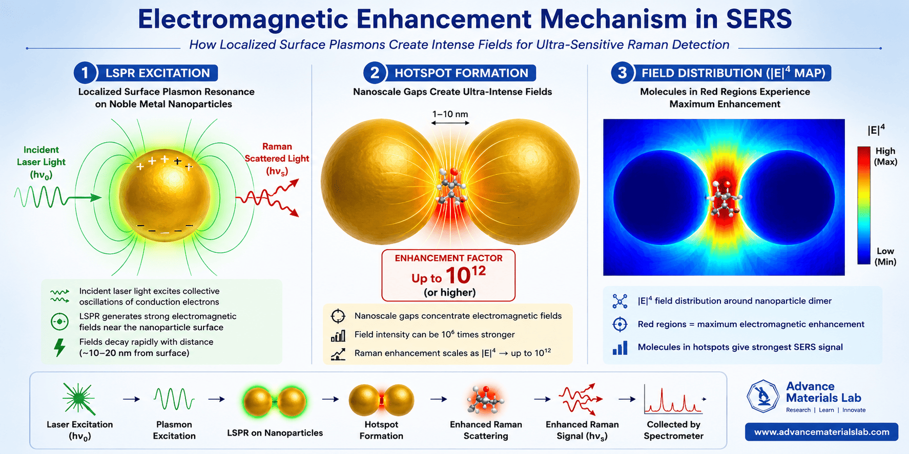SERS electromagnetic enhancement mechanism showing localized surface plasmon resonance (LSPR) on gold and silver nanoparticles, hotspot formation in nanogaps between particles, and electromagnetic field distribution with E-field enhancement factors